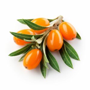 sea buckthorn